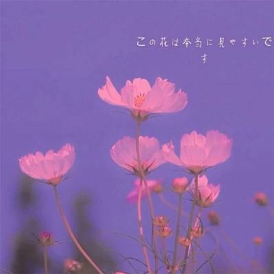 11玩灵剑仙师下载